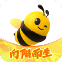 布朗41+7+6绿军险胜双杀太阳 布克40+6迎500场20+里程碑